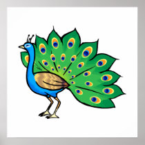 Ponce Peacock Posters