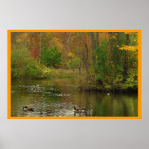Pond at Sapsucker Woods