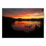 Pond at Sunset Cards