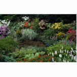 Pond, early summer, bog garden photo sculptures