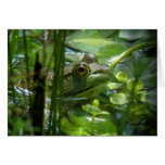 Pond Frog Get Some Air Note Card