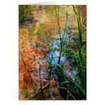 Pond II cards