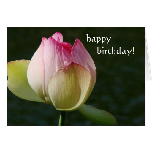 Pond Lotus Flower Birthday Card Zazzle
