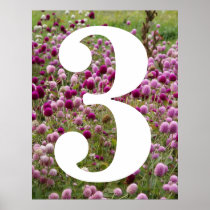 pond posters