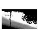 Pond Reflections in B/W business cards