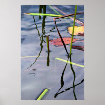 Pond Reflections Posters