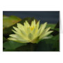 Pond Series Card