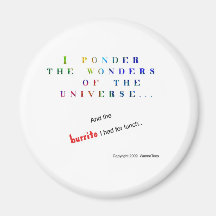 Ponder the Universe Funny Fridge Magnets