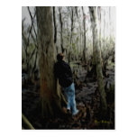 Pondering Postcard