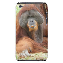 Pongo Orangutan Ape iTouch Case