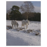 Ponies in the snow flyers