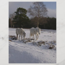 Ponies in the snow flyers