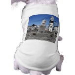 Ponta Delgada, Azores Pet Clothes