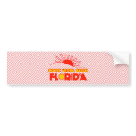 Ponte Vedra Beach, Florida bumper stickers