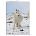 Pony cards
