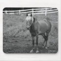Pony in field mousepads