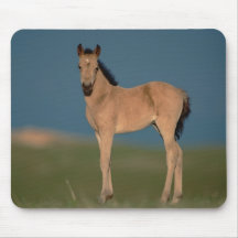 Pony Mouse Mat