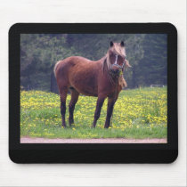 Pony Mousepad