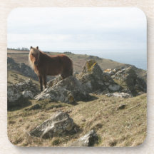 pony on the cliff coaster