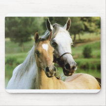 Pony Pad Mouse Mats