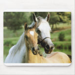 Pony Pad mousepads