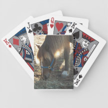 Pony Photo Playing Cards