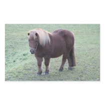 Pony Rectangle Stickers