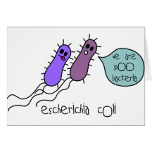 Poo Bacteria Cards