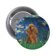 Poodle (Apricot 10) - Lilies 5 Button
