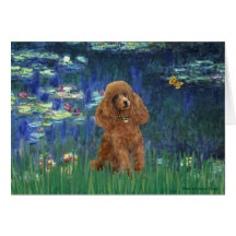 Poodle (Apricot 10) - Lilies 5 Card