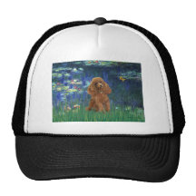 Poodle (Apricot 10) - Lilies 5 Hats