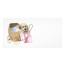 Poodle baby buggy custom photo card