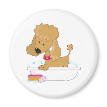 Poodle Bath