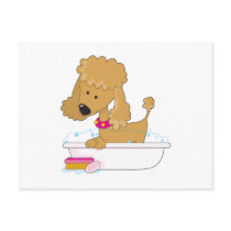 Poodle Bath