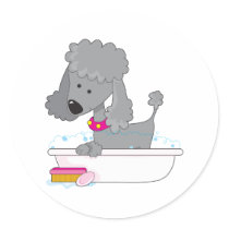 Poodle Bath