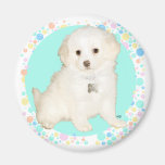 Poodle / Bichon Mix Puppy Celebrates Life Magnets