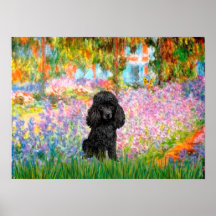 Poodle (black 1) - Garden Posters