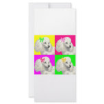 Poodle Bright Collage1 rack cards