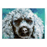 Poodle cards