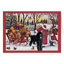Poodle Christmas Card Santa Bears In Sleigh