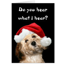 Poodle Christmas Greeting Cards