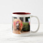 Poodle Day 2010 #1 Coffee Mug