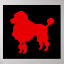 Poodle dog (red) posters