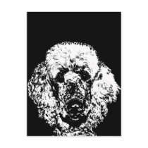 Poodle Gifts - Postcard