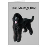 Poodle Greeting Card