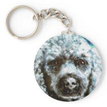 Poodle