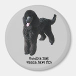 Poodle Magnet