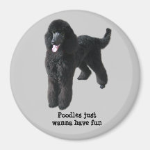 Poodle Magnet