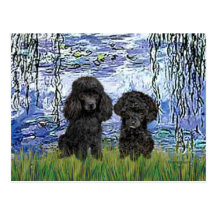 Poodle Pair (black) - Lilies 6 Postcard