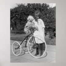 Poodle Perch, 1913 Posters